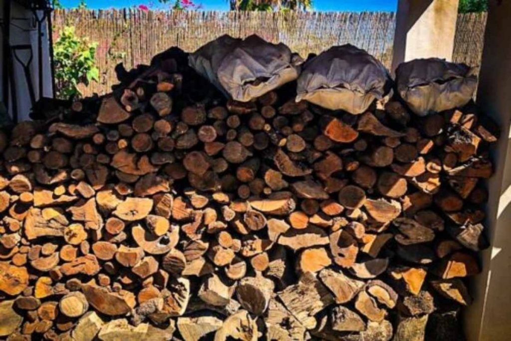 Leña de olivo vs briquetas: guía definitiva para elegir bien