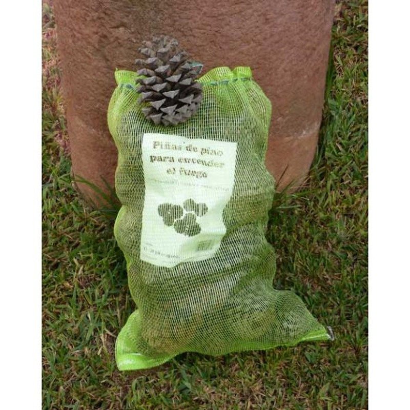 Piñas de pino para encender el fuego