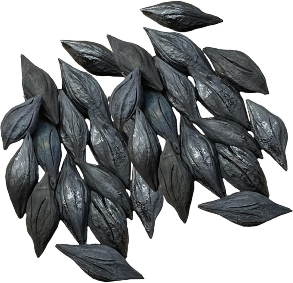 Carbón Vegetal de Madera de Olivo Negro 500g para Barbacoa | Uso Exterior y Camping, Bolsa Individual, Encendido Sencillo, Formato para Asar y Hervir Agua